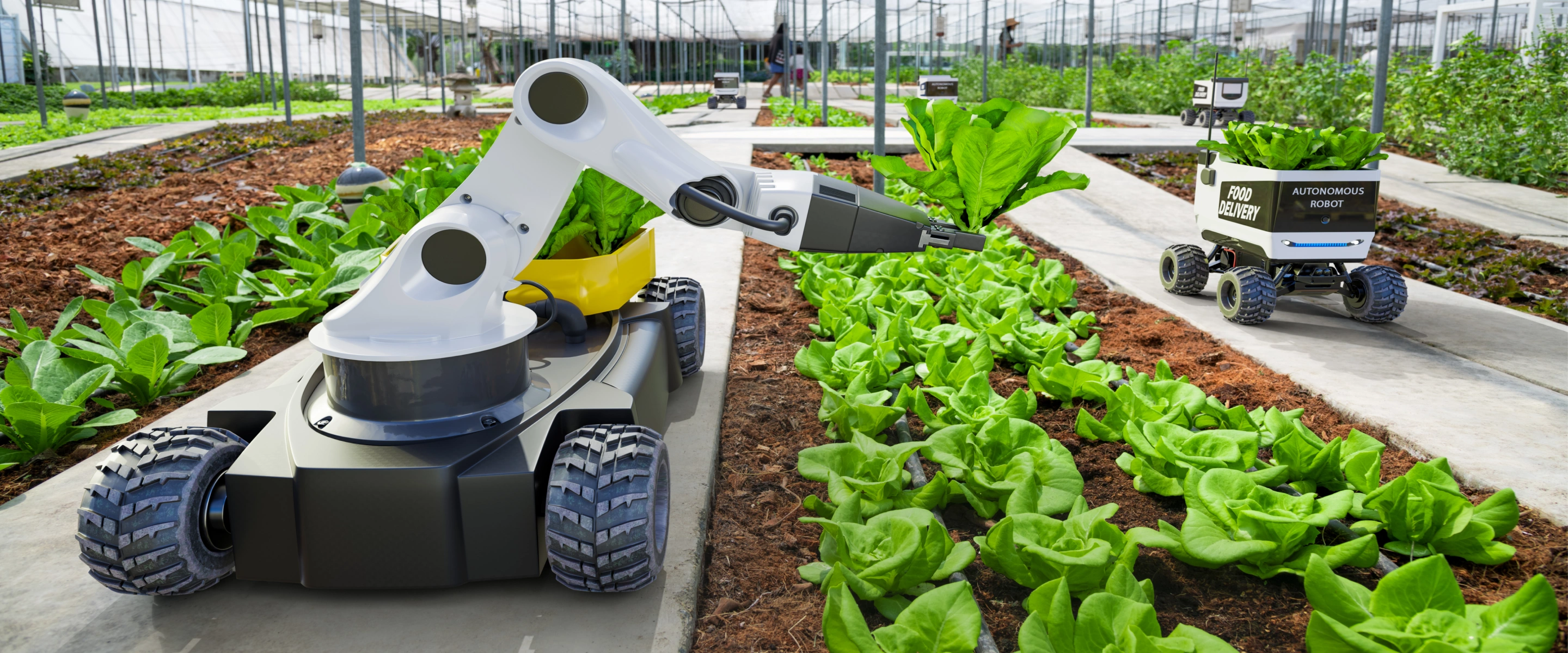 Aqrar innovasiya mərkəzi